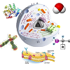 Microwaves meet life science and technology: challenges and opportunities